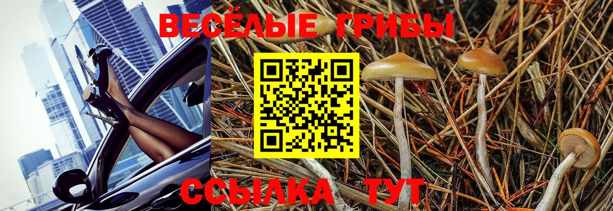 Азнакаево  Галлюциногенные грибы мухоморы  Псилоцибиновые грибы MAGIC MUSHROOMS  Вход с VPN 