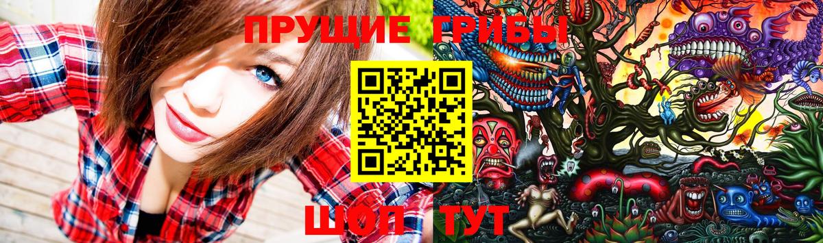 Галлюциногенные грибы Psilocybine cubensis Азнакаево